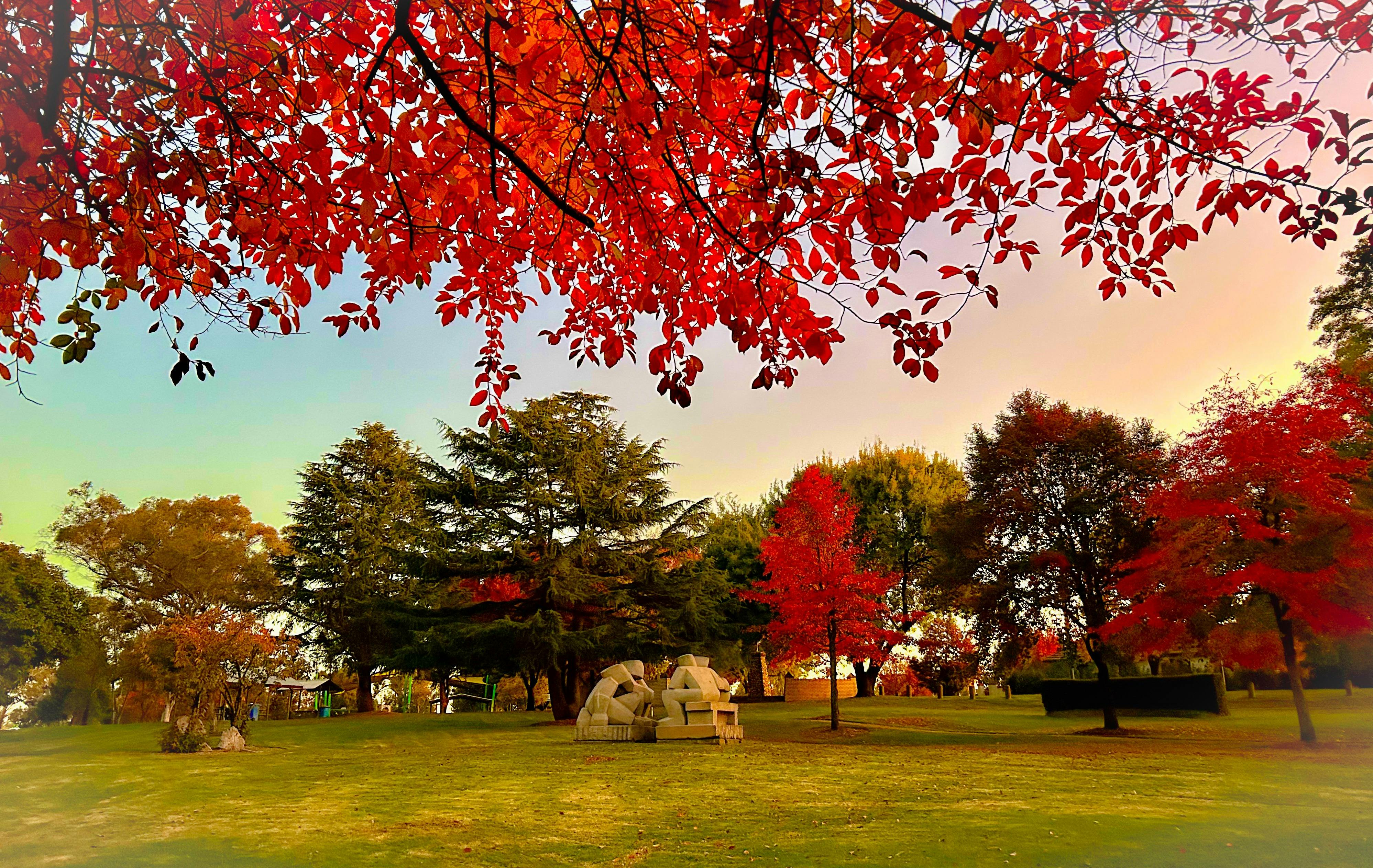 Autumn at Macquarie River Bicentennial Park