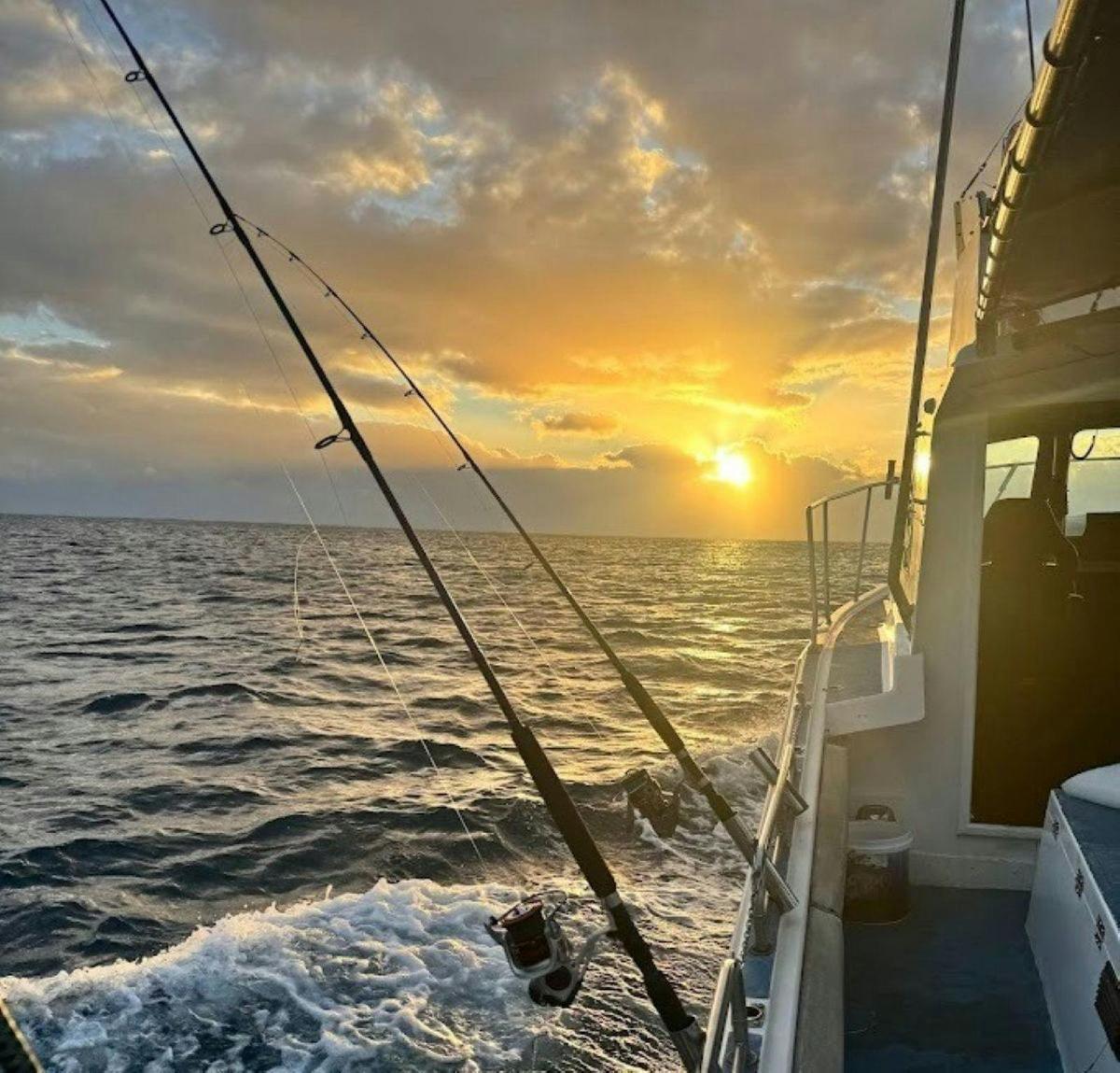 Shell Cove Offshore Adventures Fishing Tour