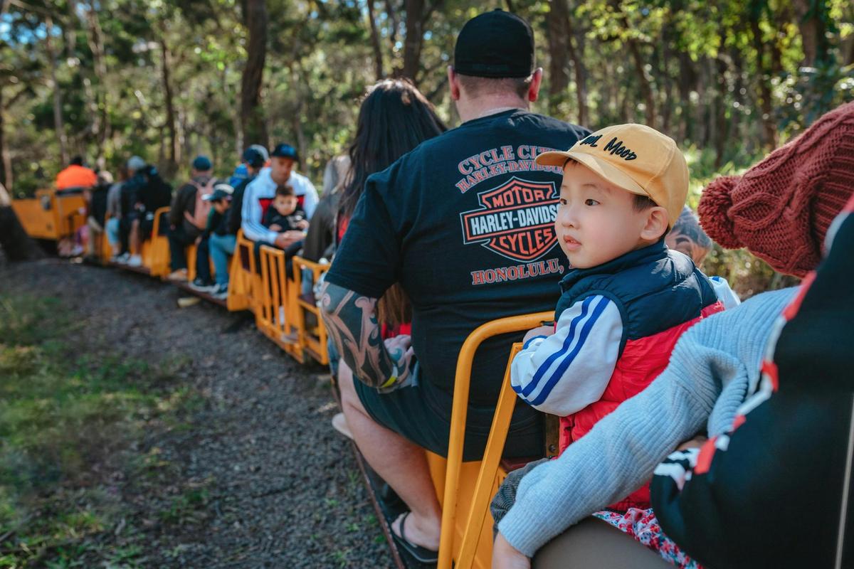 Illawarra Lightrail Museum - Train rides