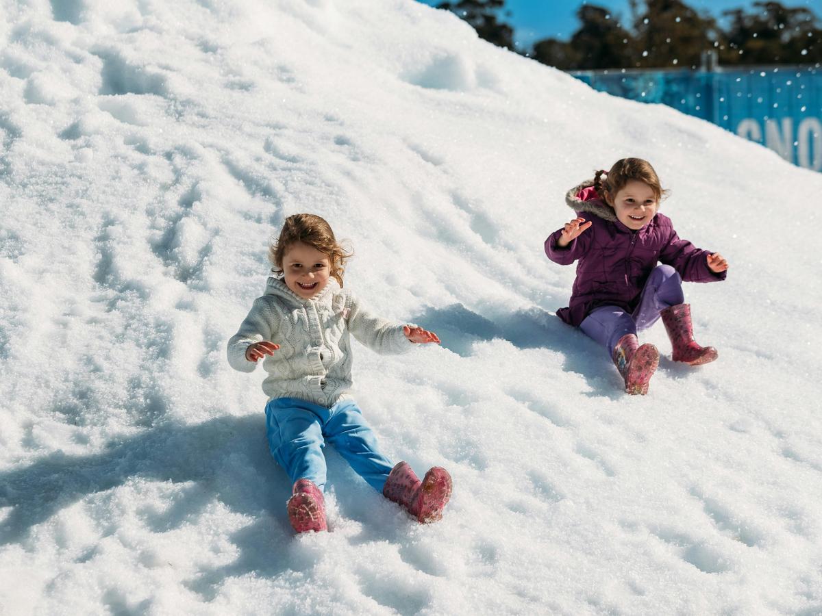 Snow Time in the Garden