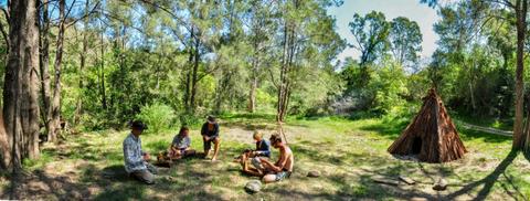 Wild 101 Dungog