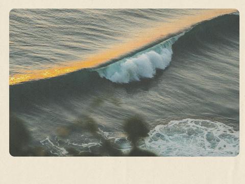 Bondi Sunsets