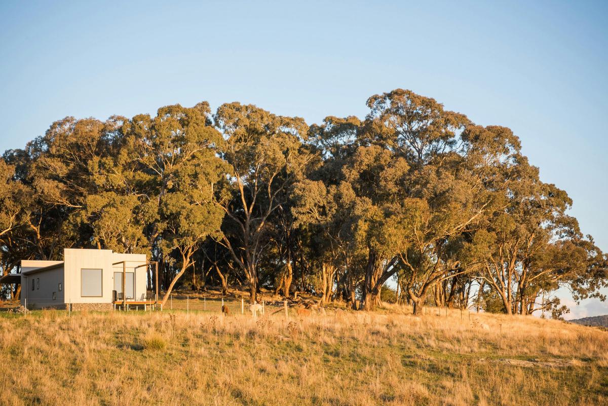 Dragonfly Cottages