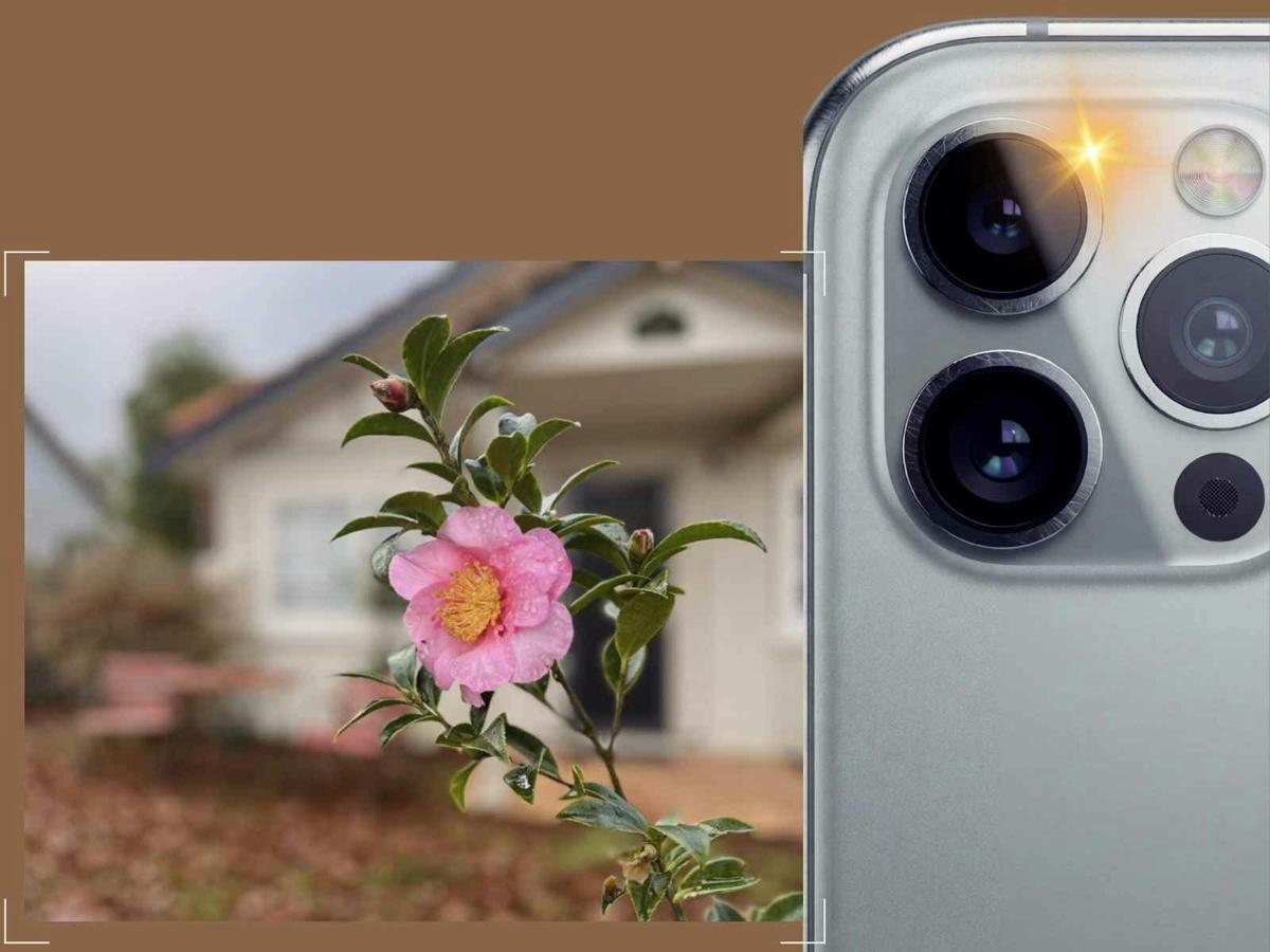 Smartphone Photography Workshop