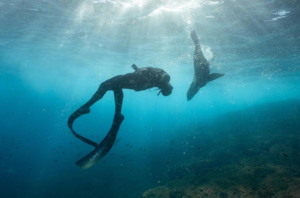 Freediver dancing with a seal
