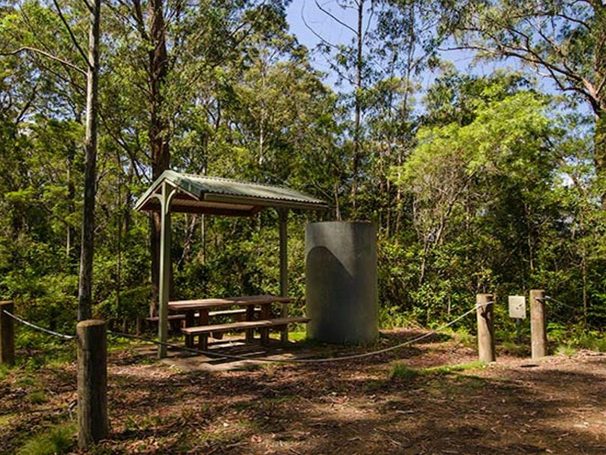 Lagoon Pinch picnic area, Barrington Tops National Park. Photo: John Spencer/NSW Government