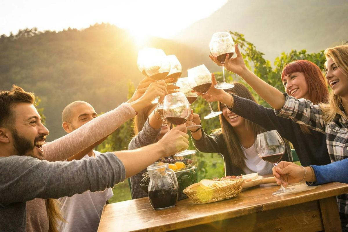 Mudgee, NSW - Boutique Wine Tour Experience