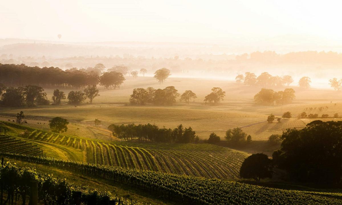 Hunter Valley NSW, Wine Country Food and Wine Lovers Tour