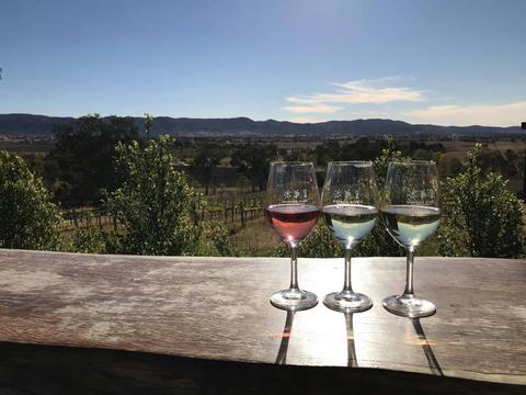 Mudgee, NSW - Boutique Wine Tour Experience