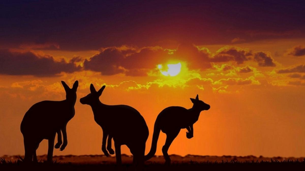 Australian Outback Station, two-day Outback Farm Stay, Rest and Relaxation Adventure