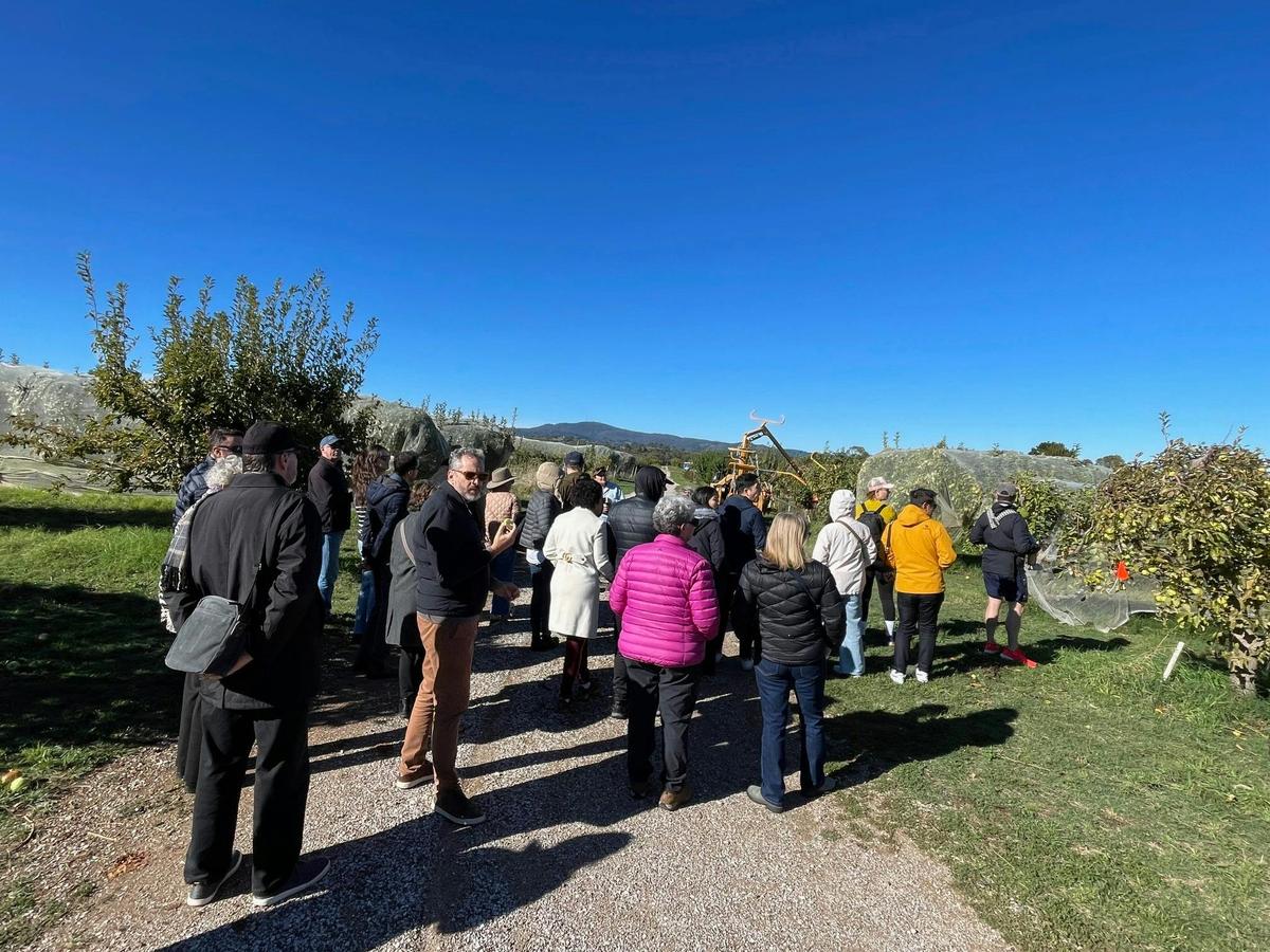Orchard Tour