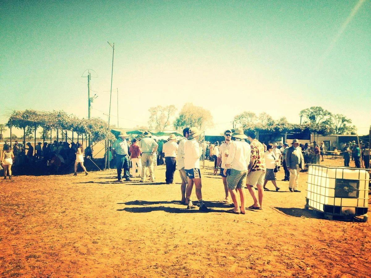 Come-by-Chance Picnic Races