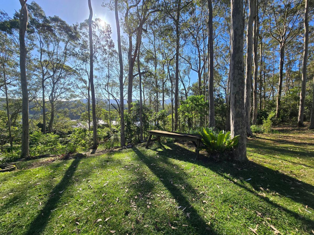 A quiet bushland place to pause at Herbal Touch Bush Clinic.