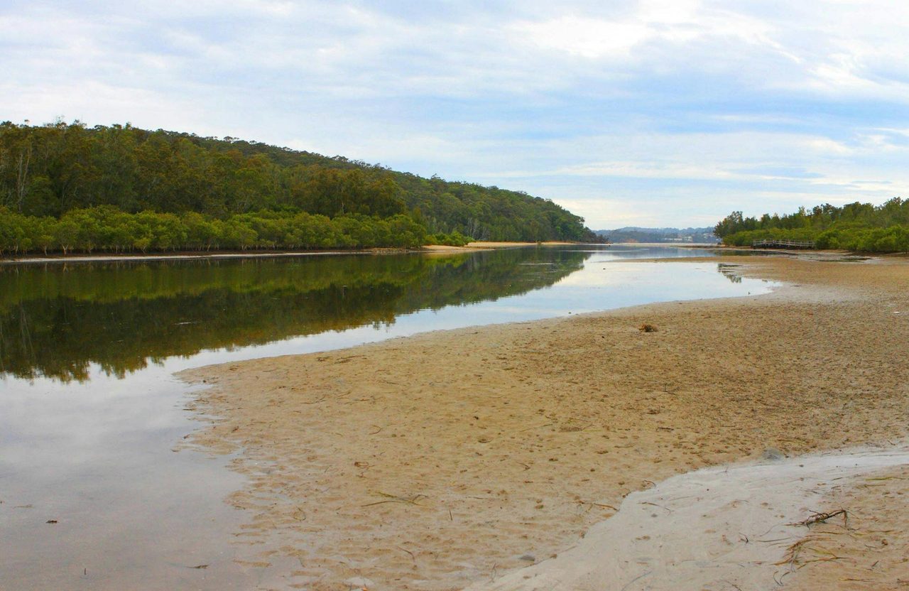 Mangrove walk, Cullendulla Creek Nature Reserve