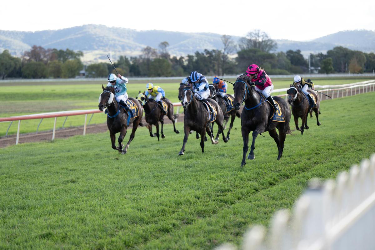 Gooree Park Mudgee Cup