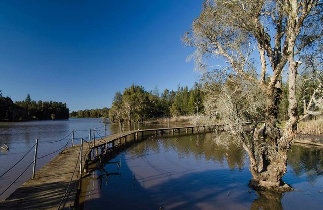 Longneck Lagoon Walking Track