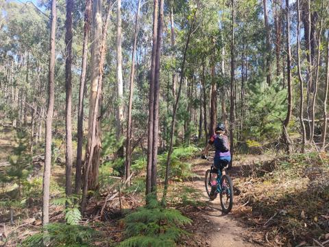 Mountain Bike Therapy Australia