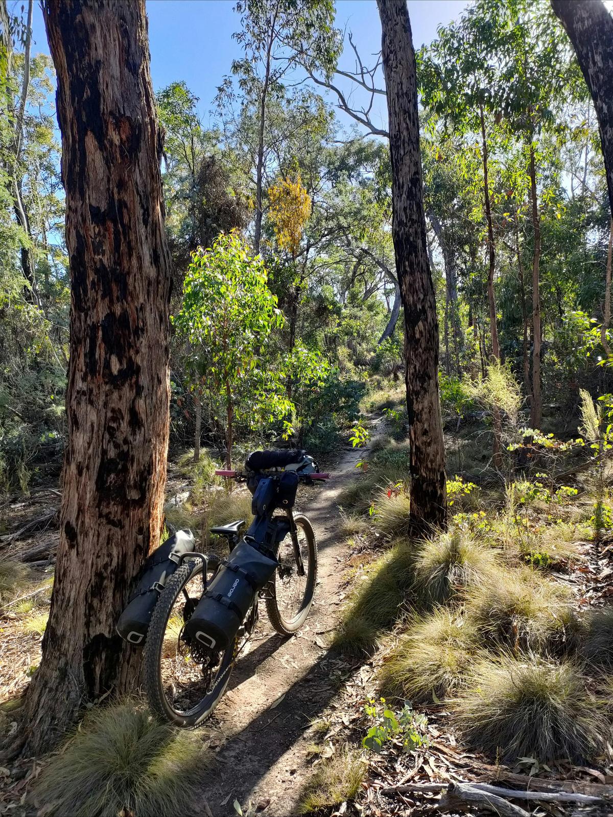 On the Dry Diggings Section of the Goldfields Track