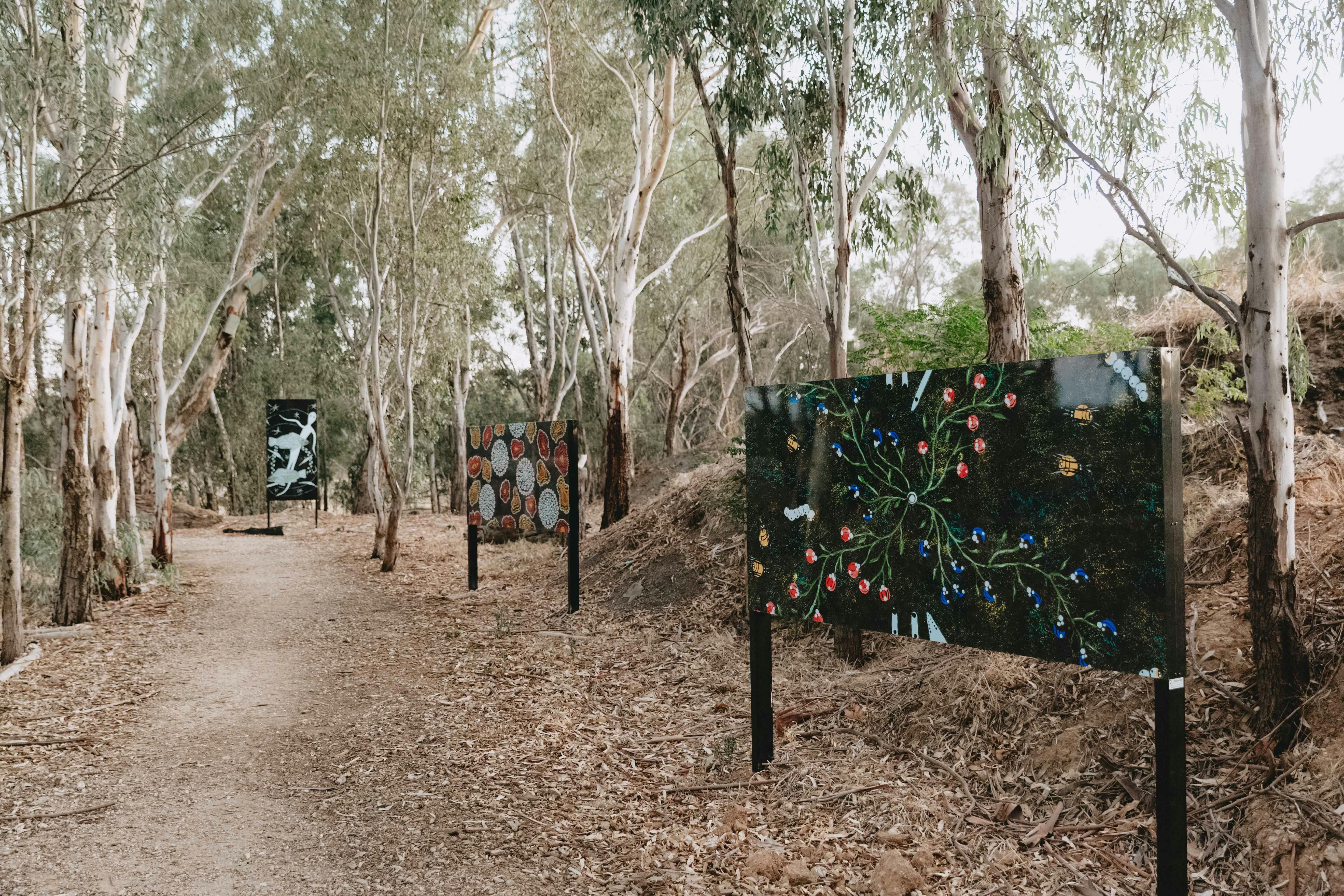 Marrambidya Wetland Wagga Wagga