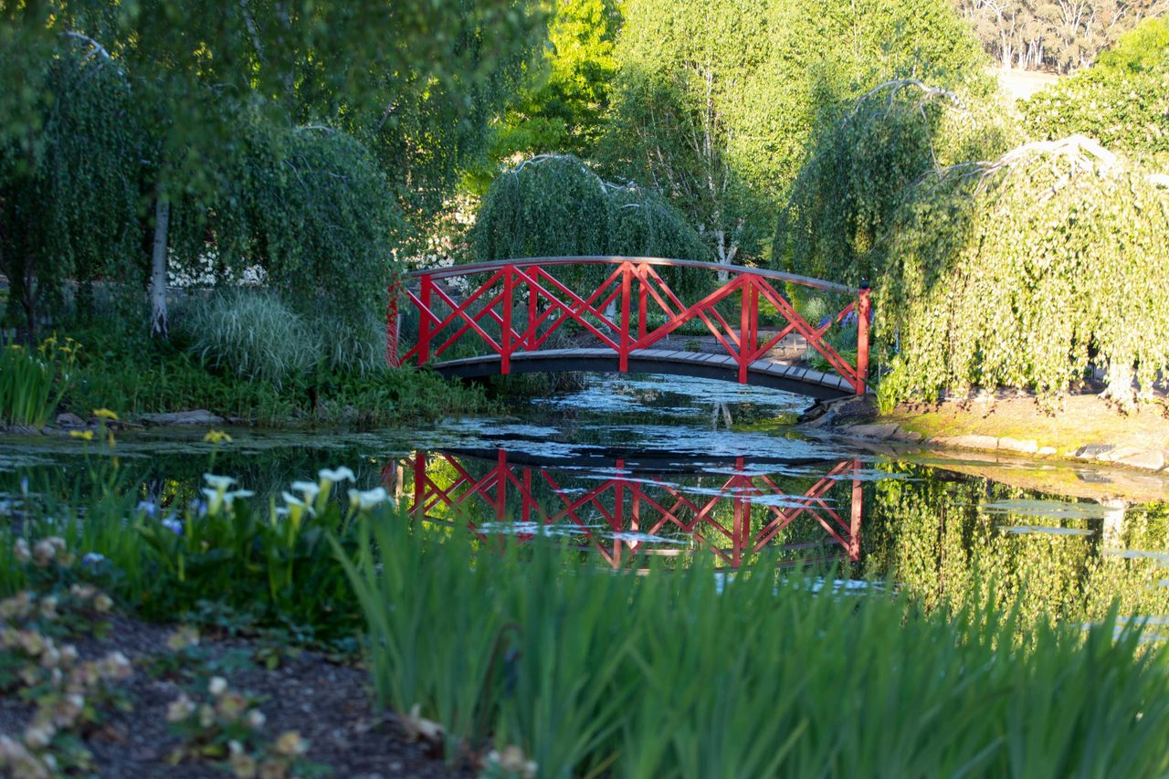 The breathtaking Water Garden at Mayfield