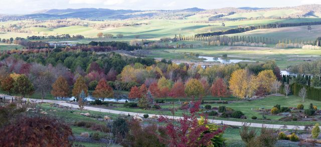 Mayfield Garden