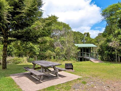 Antarctic Beech picnic area