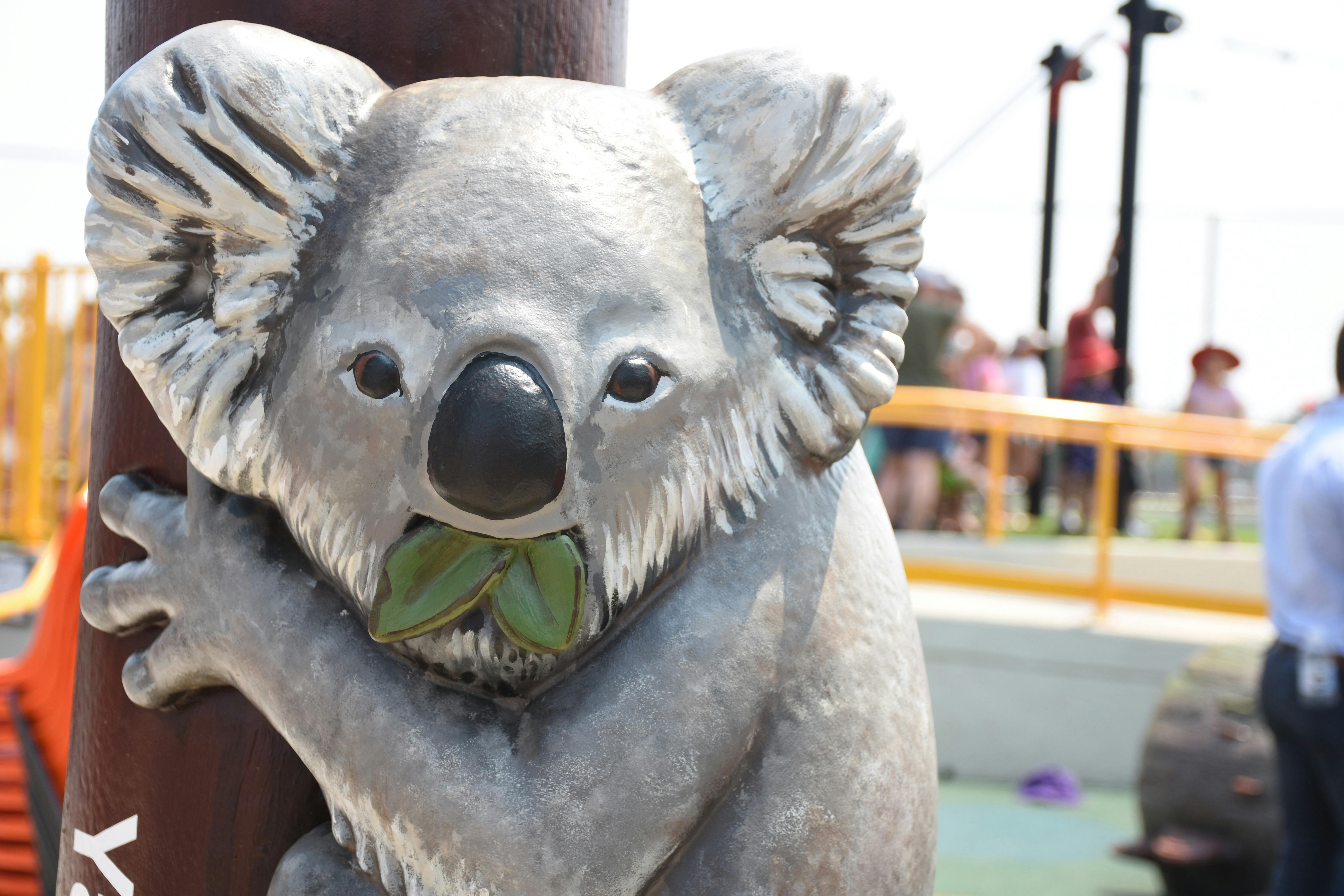 Koala Mascot