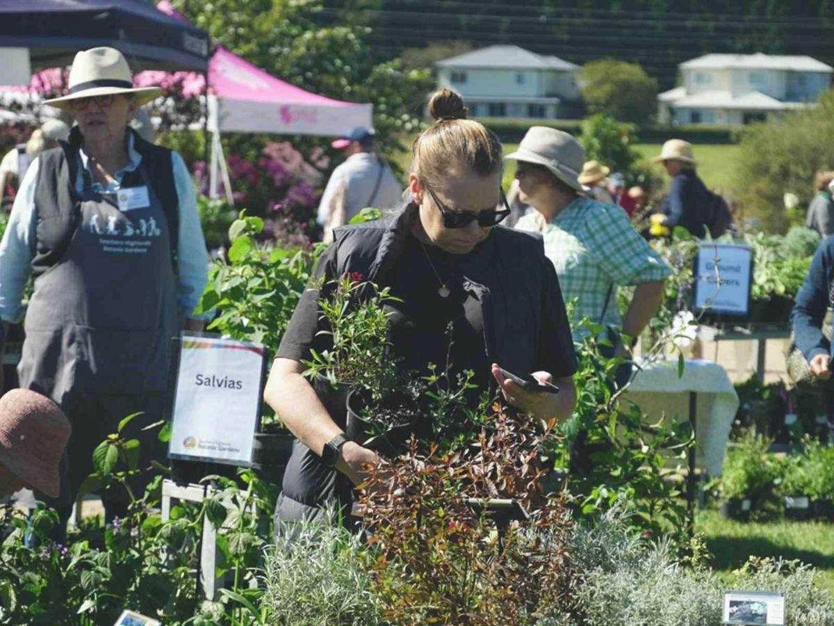 Plant Nursery will be open