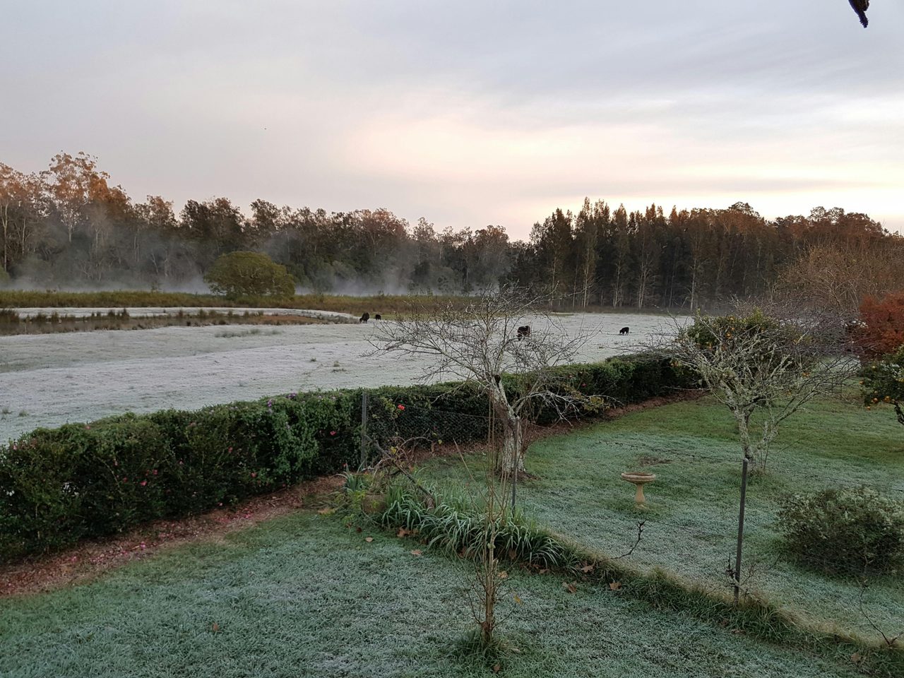 Winter mornings