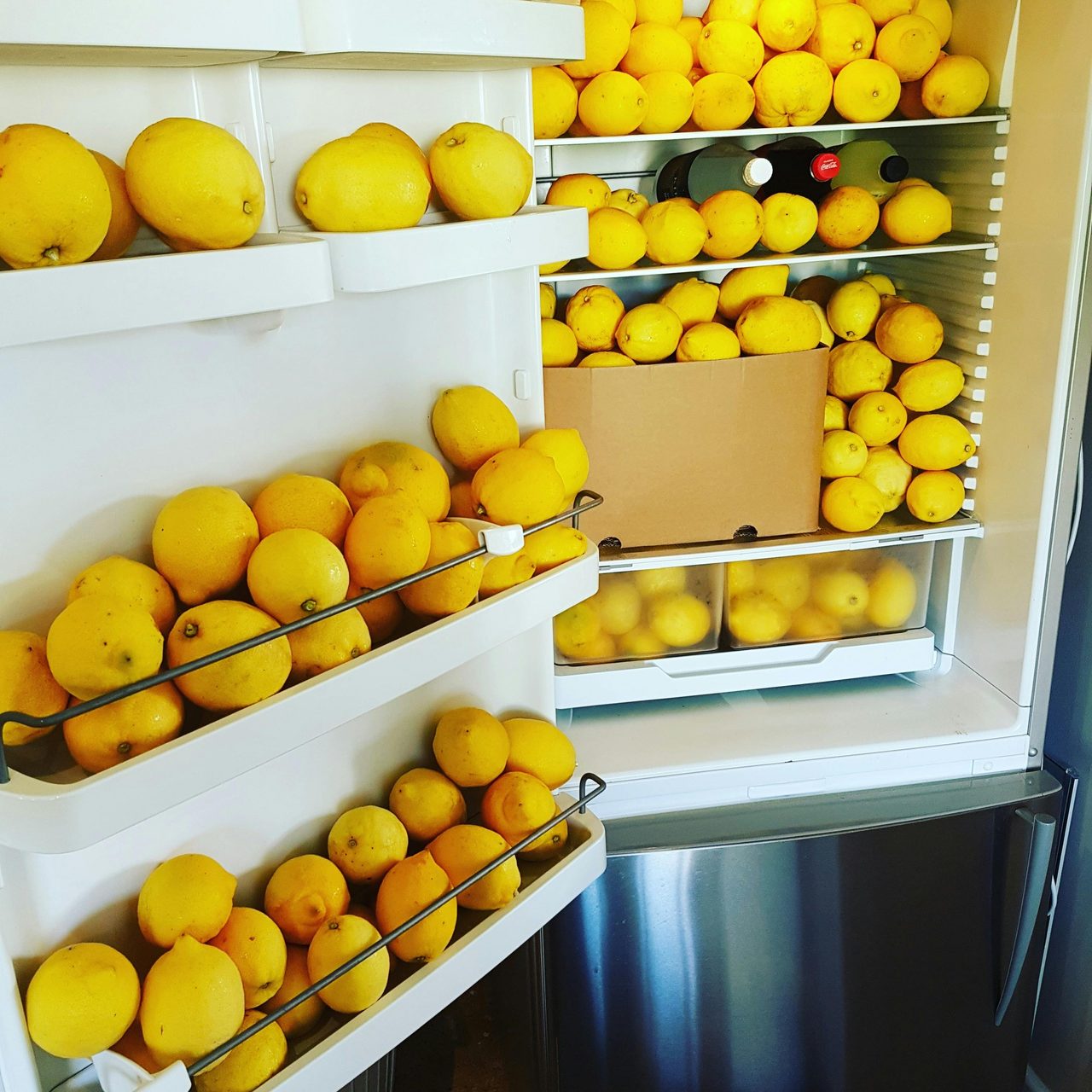 Limoncello Time