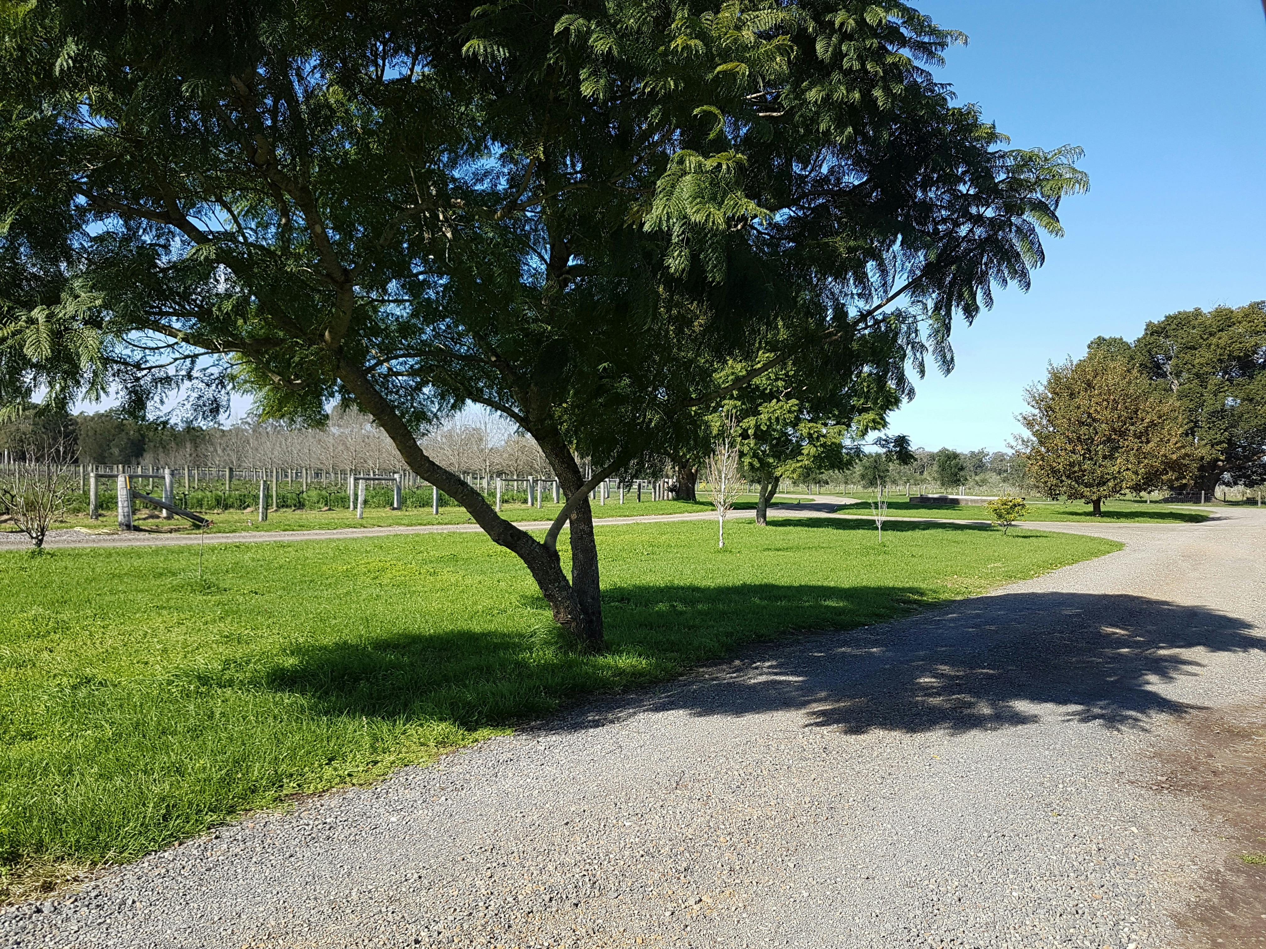 Vineyard and Gardens