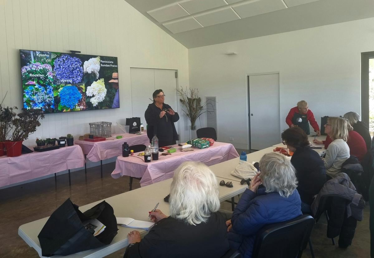 Botanic Gardens Plant Propagation Workshop