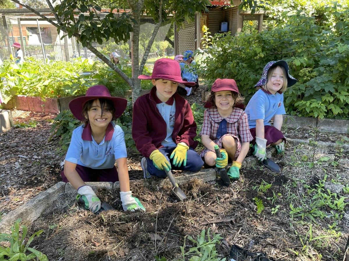Students gardening at Katoomba Public School