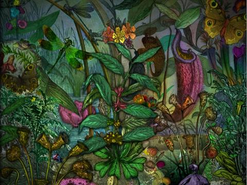 Enchanted Garden