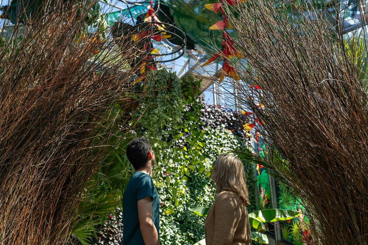 Alchemy of a Rainforest