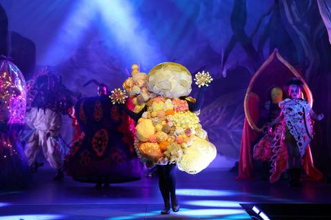 Sydney Wearable Art Gala