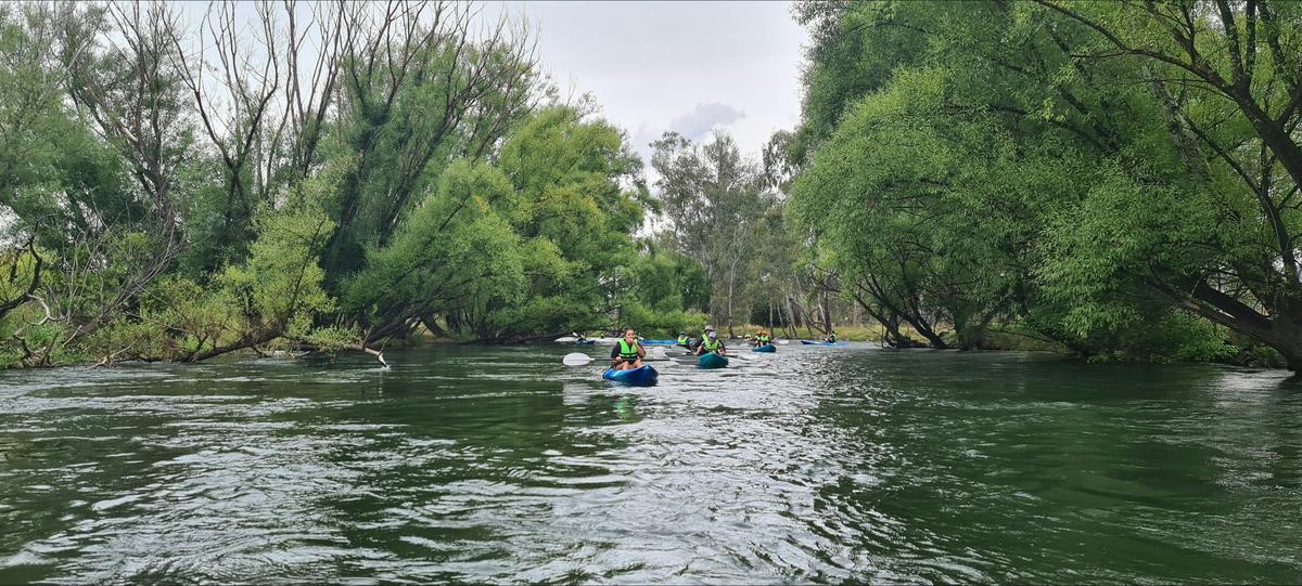 Paddle sports Tumut