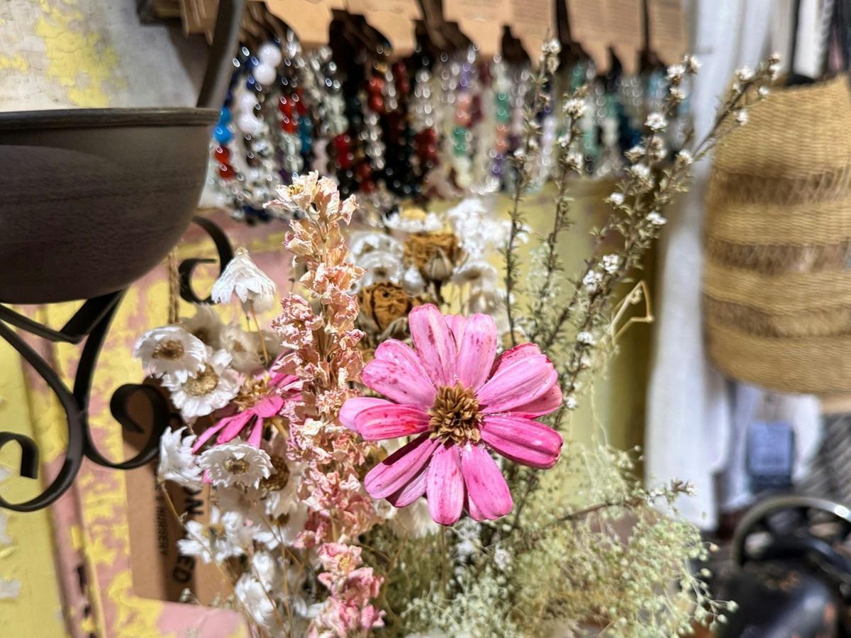 Dried flowers and vintage displays at The Cotton Shed