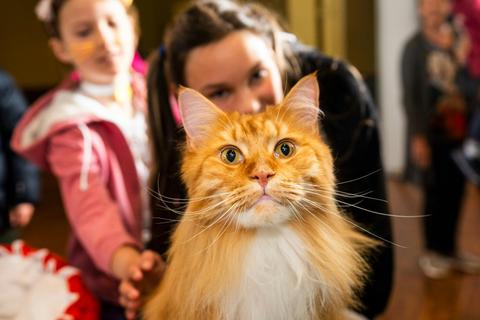 Cat Lovers Festival - Sydney