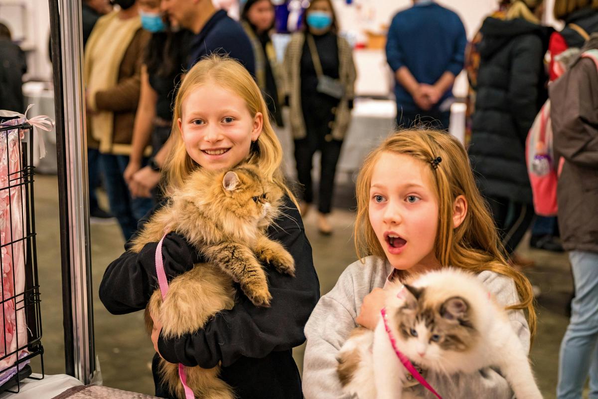 Cat Lovers Festival