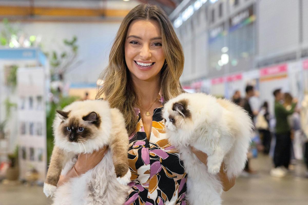 Cat Lovers Festival