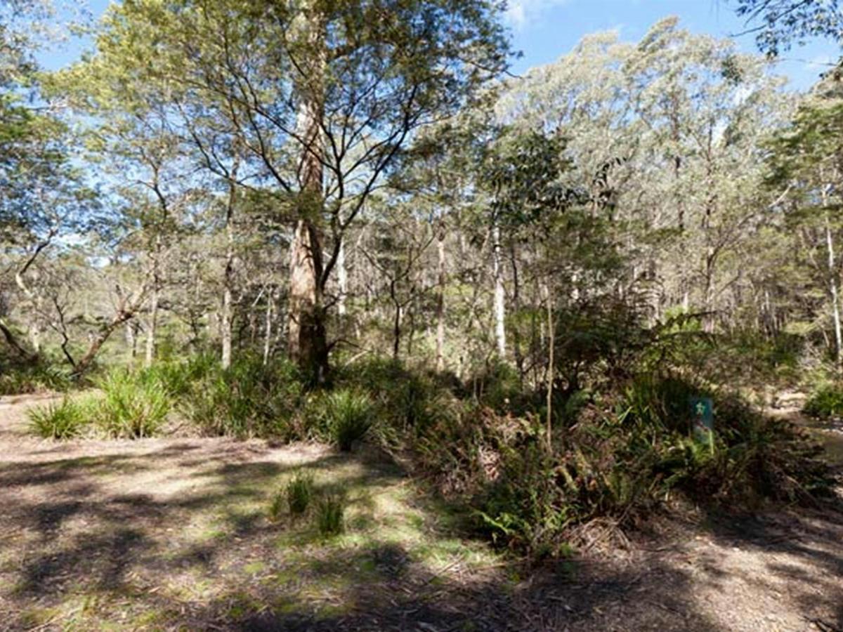 Dasyurus picnic area landscape, Monga National Park. Photo: Lucas Boyd &copy; DPIE