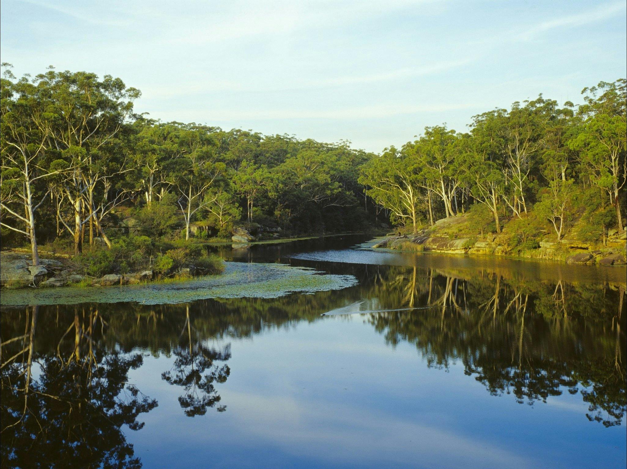 Lake Parramatta Reserve at sunset