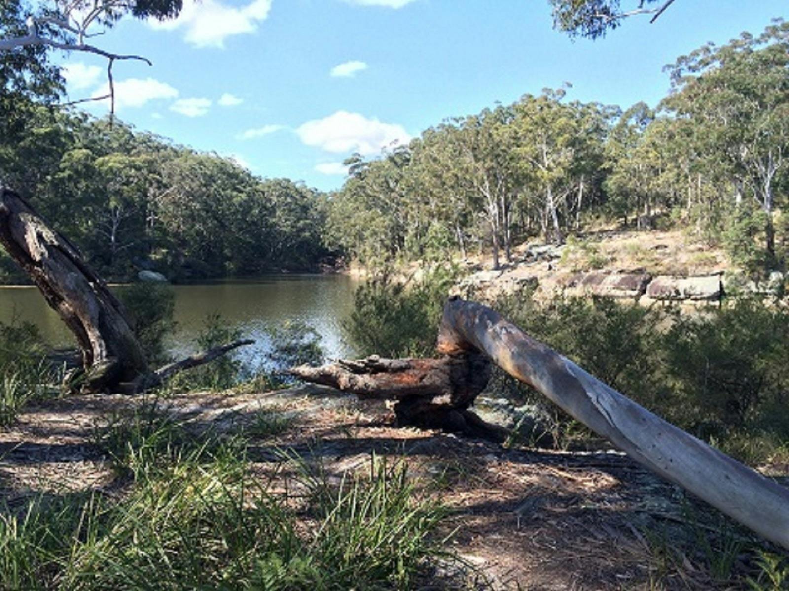 Lake Parramatta as seen from one of the walking tracks