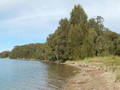 Lake Macquarie State Conservation Area