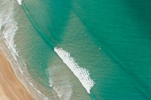 41 Ocean