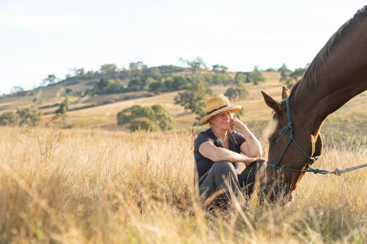 Paddock Contemplations