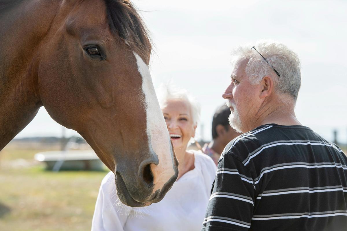 Franklyn our retired police horse welcoming guests