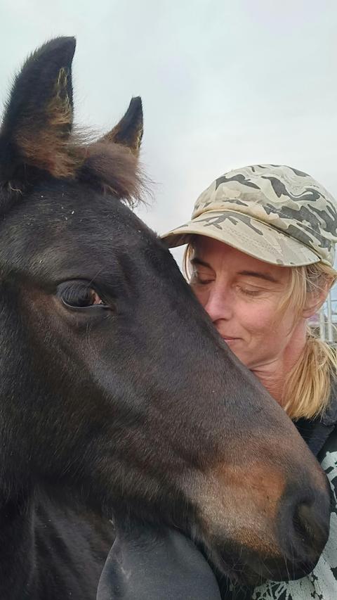 Equine Fusion at Kanukadale Care Farm