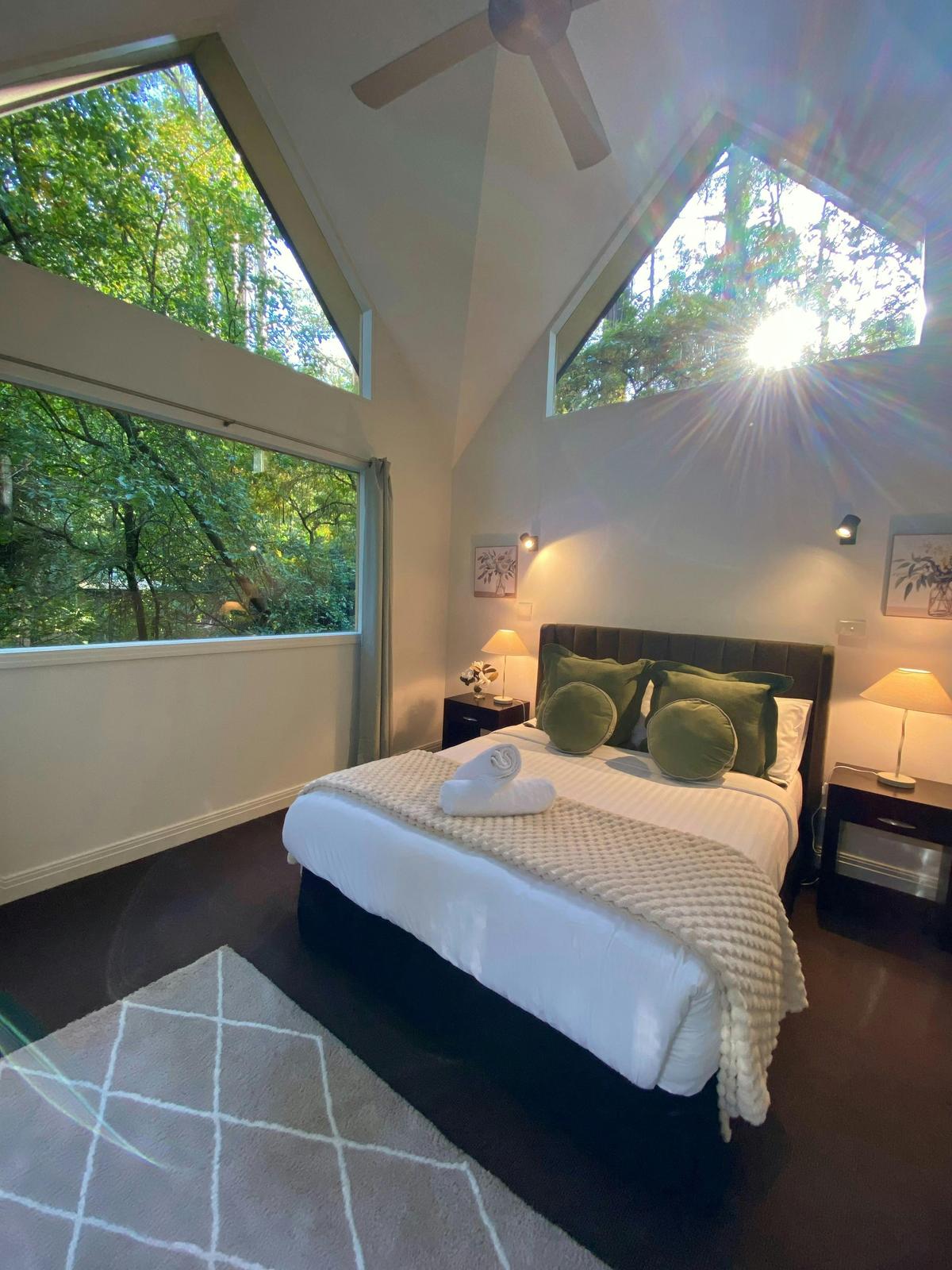 Forest views from your room